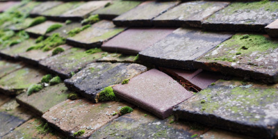 Midloe roof repair costs